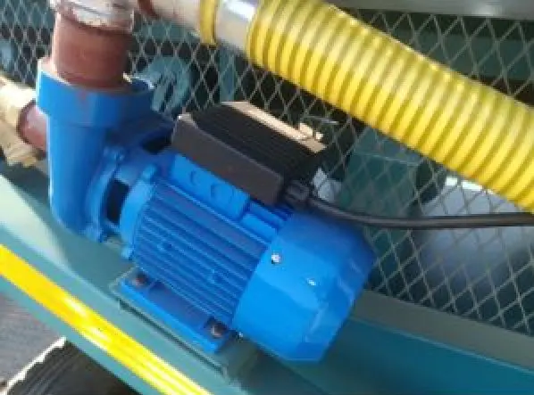 JA Plant_810754756443